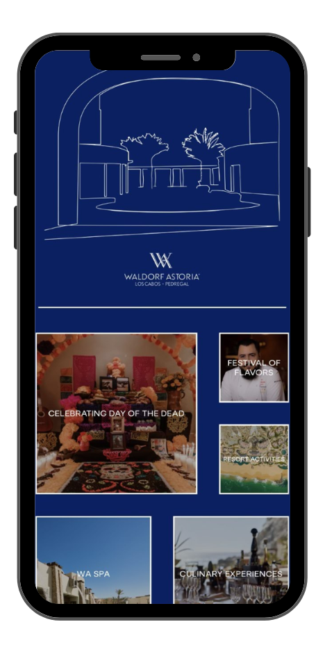 Nom web app example for a hotel in Mexico - placed in phone to show app